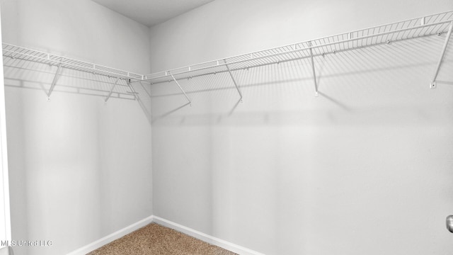 9613 Reserve Blvd, Biloxi, MS 39532 - walk in closet featuring carpet floors