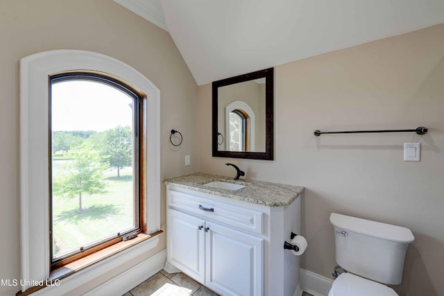 11281 Rd 468, Philadelphia, MS 39350 - bathroom with vanity, vaulted ceiling, and toilet