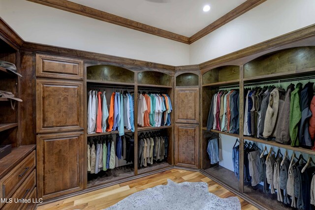 11281 Rd 468, Philadelphia, MS 39350 - spacious closet with light hardwood / wood-style floors