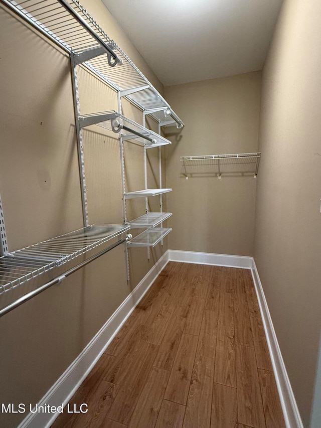 spacious closet with hardwood / wood-style flooring