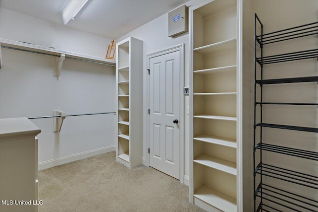 spacious closet with light carpet