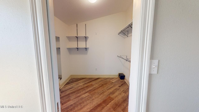 spacious closet featuring hardwood / wood-style flooring