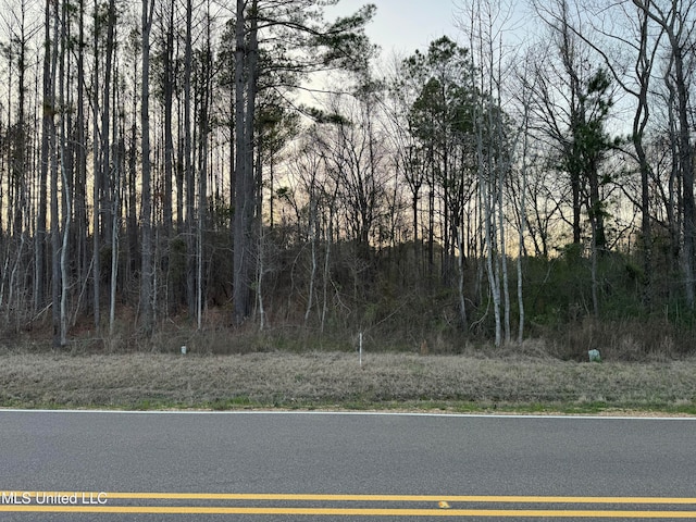 Andrew Chapel Rd, Brandon MS, 39047 land for sale