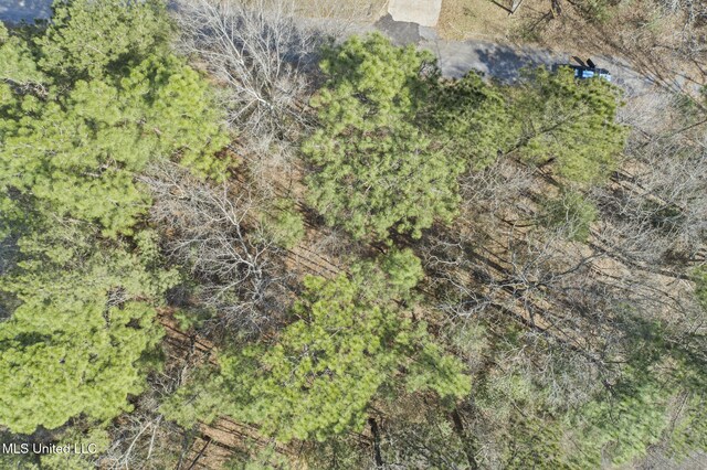 Maplewood Dr, Petal, MS 39465