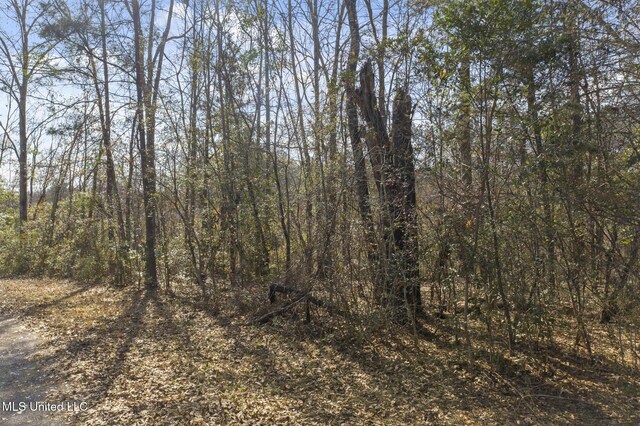 Maplewood Dr, Petal, MS 39465