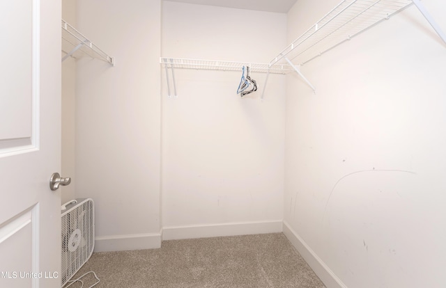 spacious closet featuring carpet flooring