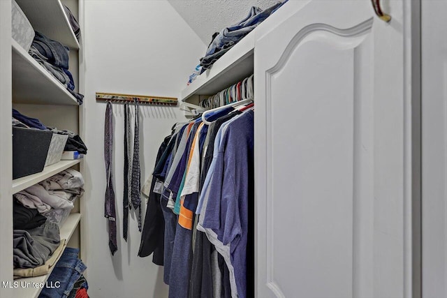 view of walk in closet