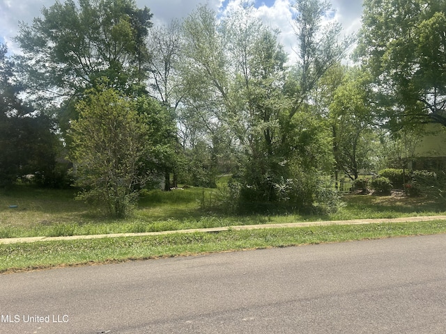 N E St, Mendenhall, MS 39114