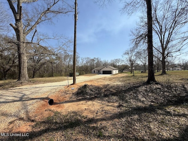 view of yard with driveway