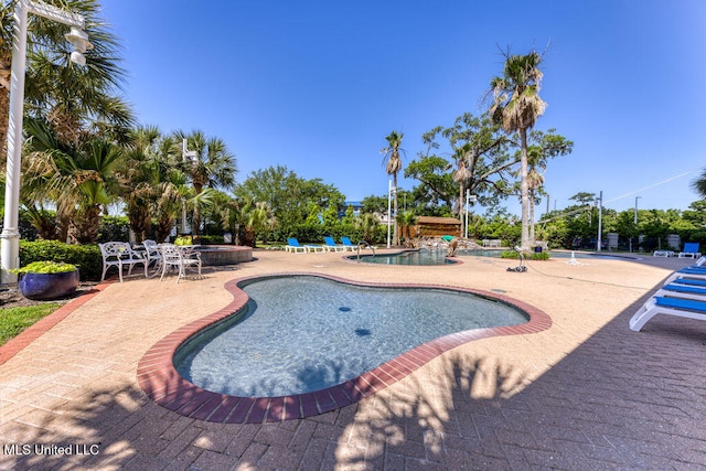 view of swimming pool featuring a patio area