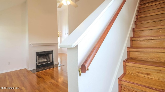 staircase featuring a fireplace with flush hearth, wood finished floors, and a ceiling fan