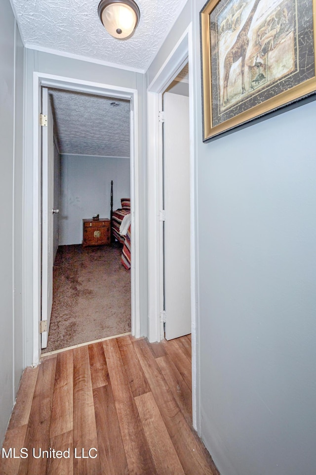 corridor with light wood-style flooring and a textured ceiling