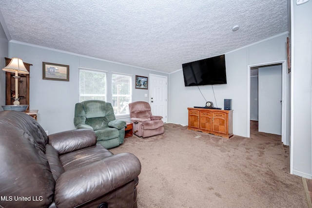carpeted living room featuring crown molding and a textured ceiling