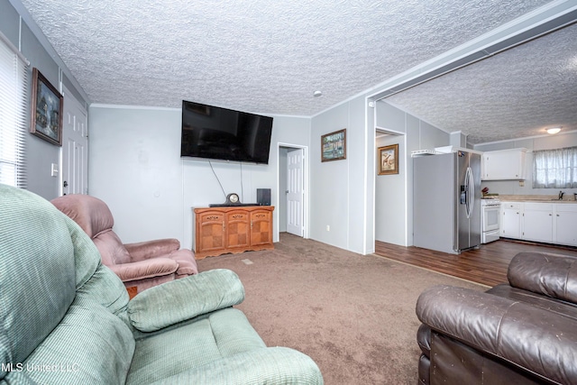 living room featuring dark carpet, a textured ceiling, and ornamental molding