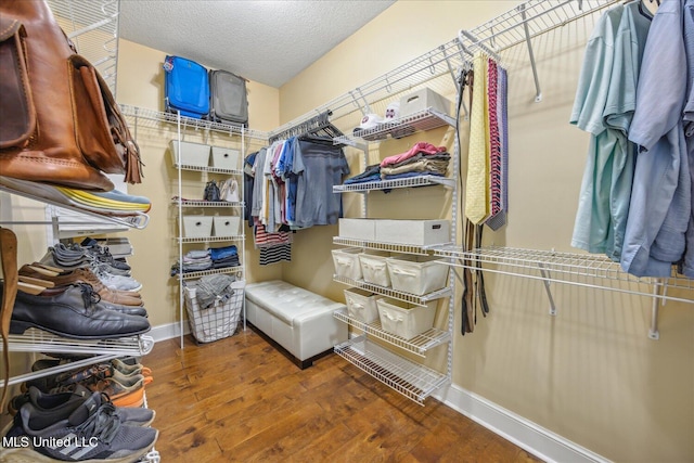 spacious closet with dark hardwood / wood-style flooring