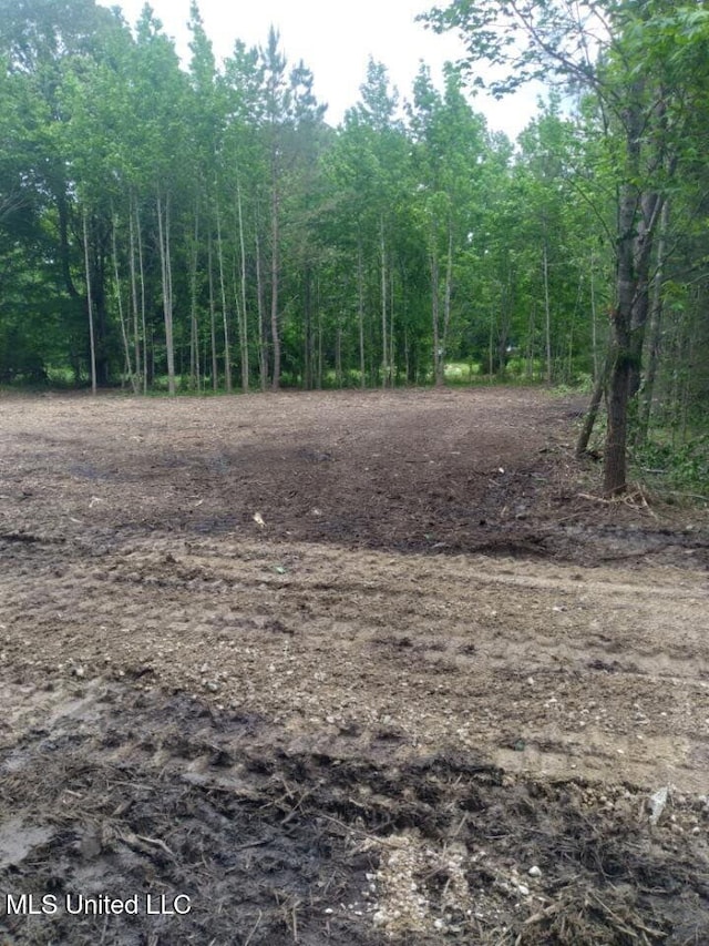 33 Shamrock Loop, Byhalia, MS 38611