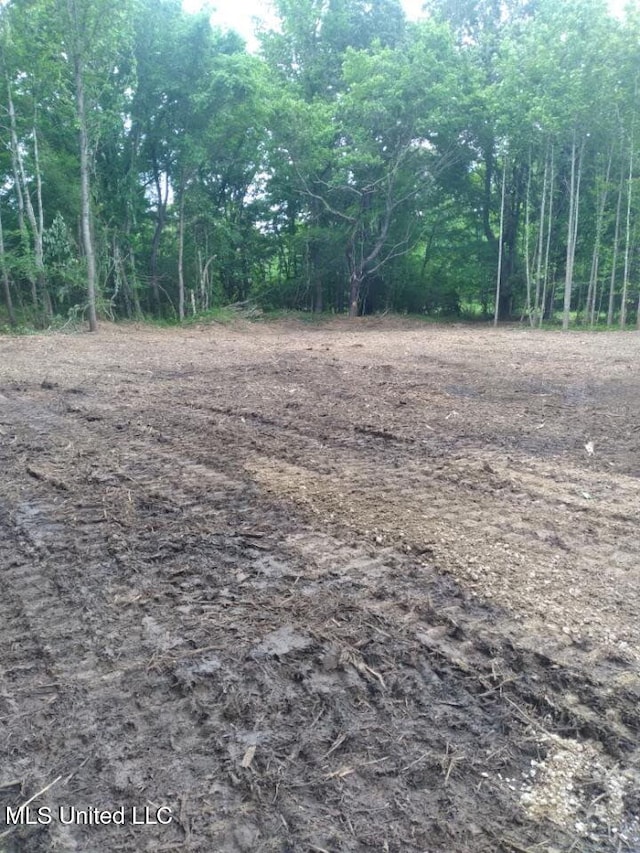 33 Shamrock Loop, Byhalia, MS 38611