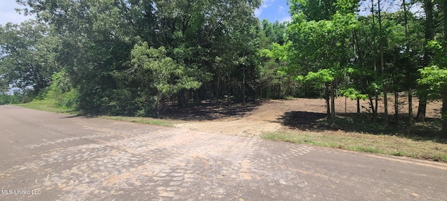 33 Shamrock Loop, Byhalia, MS 38611