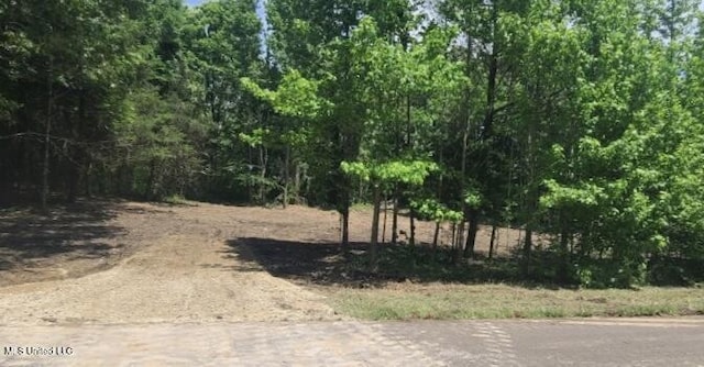 33 Shamrock Loop, Byhalia, MS 38611