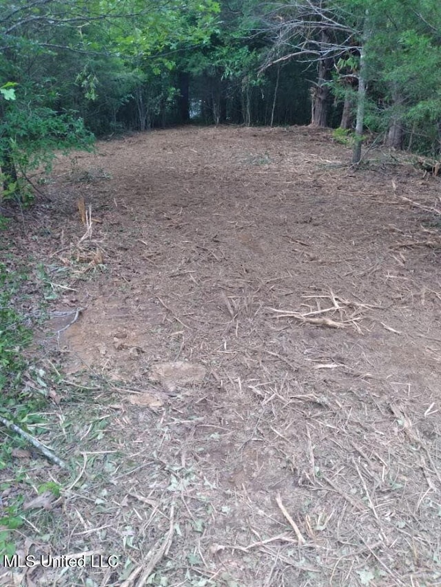 33 Shamrock Loop, Byhalia, MS 38611