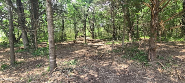 33 Shamrock Loop, Byhalia, MS 38611