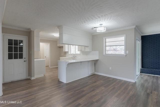 kitchen with dark wood-style floors, a peninsula, ornamental molding, a sink, and light countertops