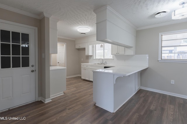 kitchen featuring a sink, dark wood finished floors, a peninsula, light countertops, and a healthy amount of sunlight