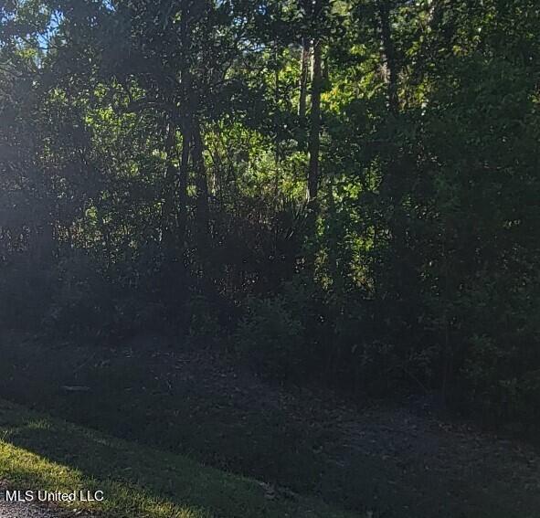 Listing photo 3 for LOT38 Eighth St, Bay Saint Louis MS 39520