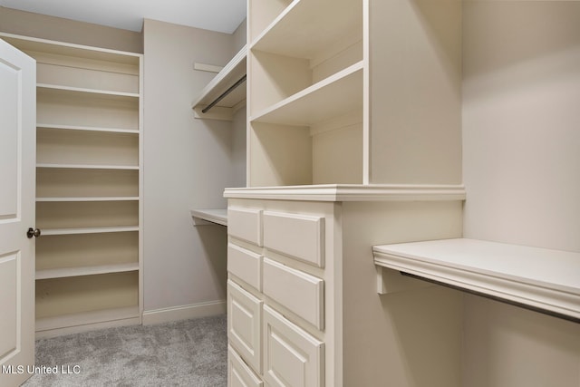 spacious closet with light carpet