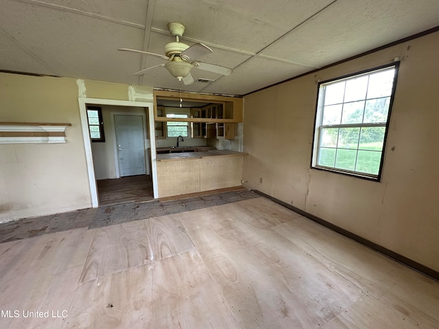 kitchen with sink, light hardwood / wood-style floors, and ceiling fan