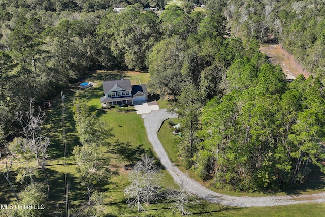 bird's eye view