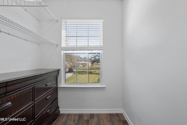 walk in closet with dark wood-type flooring