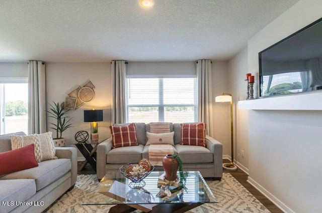 living room with a textured ceiling and wood-type flooring