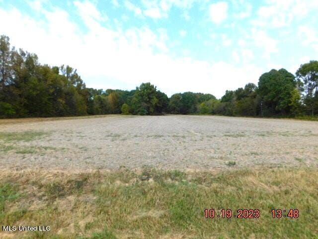 0000 Dean Rd, Nesbit MS, 38651 land for sale