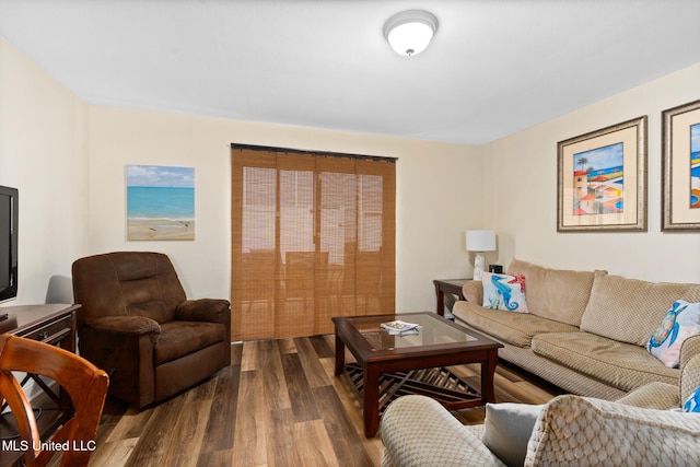 living room with hardwood / wood-style flooring