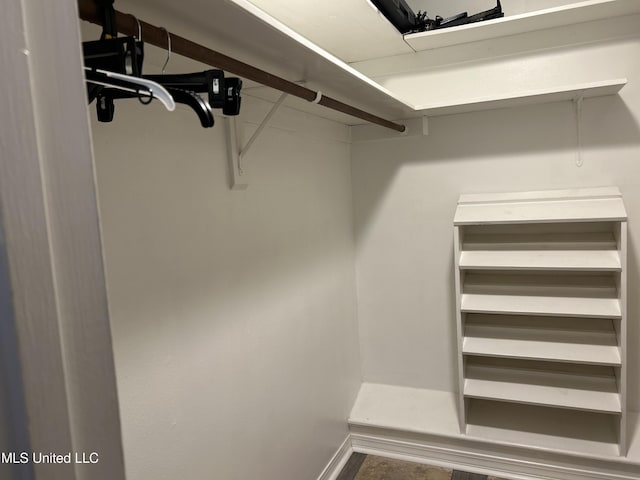 view of spacious closet