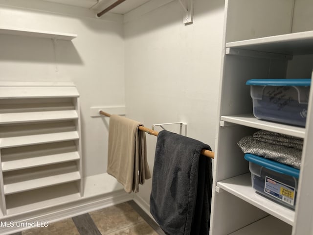 view of spacious closet