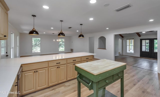551 Holly Bush Rd, Brandon, MS 39047 - kitchen featuring open floor plan, light wood-style flooring, plenty of natural light, recessed lighting, and light brown cabinetry