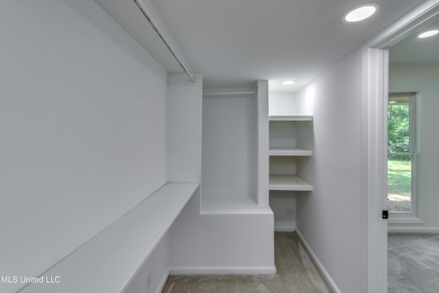 551 Holly Bush Rd, Brandon, MS 39047 - walk in closet with carpet flooring