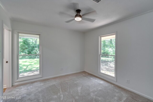551 Holly Bush Rd, Brandon, MS 39047 - carpeted spare room with healthy amount of natural light, crown molding, a ceiling fan, and baseboards