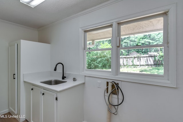 551 Holly Bush Rd, Brandon, MS 39047 - washroom with a sink, ornamental molding, and a textured ceiling