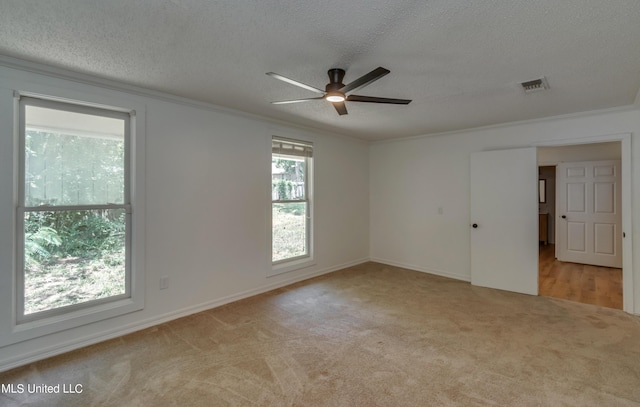 551 Holly Bush Rd, Brandon, MS 39047 - spare room with ceiling fan, a textured ceiling, carpet flooring, and ornamental molding