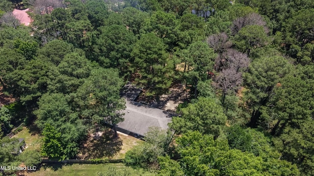 551 Holly Bush Rd, Brandon, MS 39047 - bird's eye view of a forest