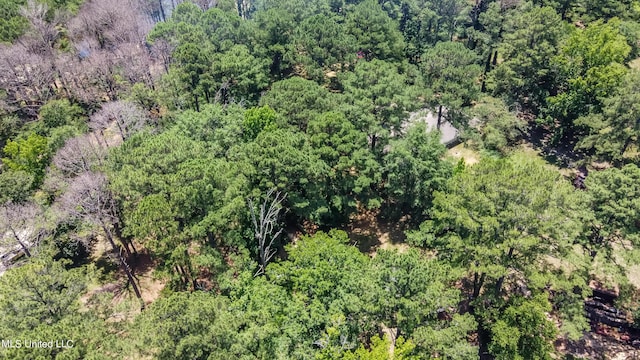 551 Holly Bush Rd, Brandon, MS 39047 - bird's eye view of a forest