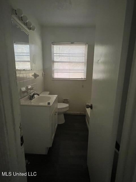 bathroom featuring toilet, decorative backsplash, a wealth of natural light, and vanity