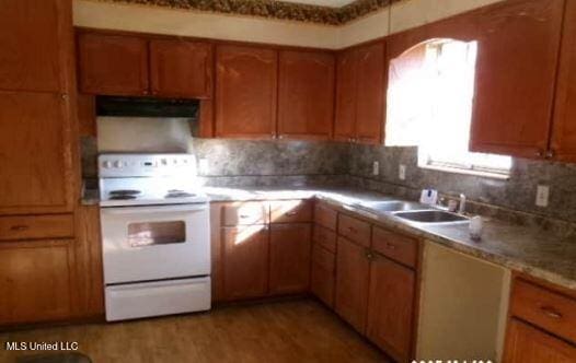 kitchen with ventilation hood, sink, light hardwood / wood-style floors, and electric stove