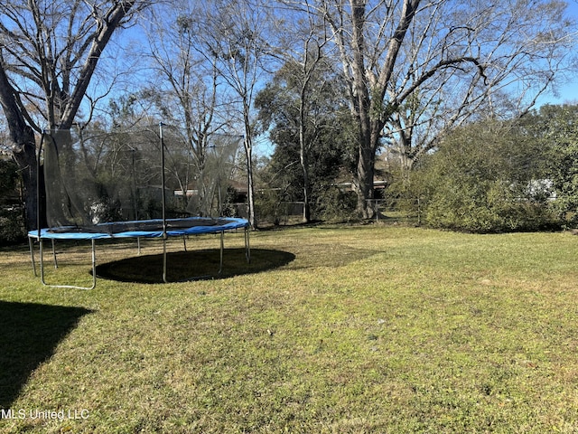 view of yard featuring a trampoline