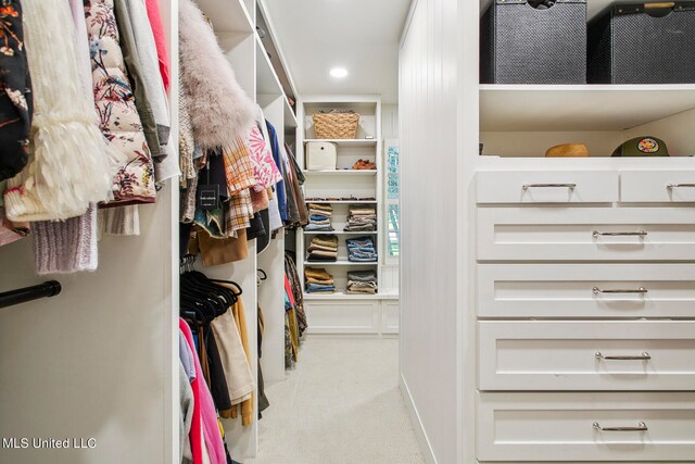 spacious closet with light colored carpet