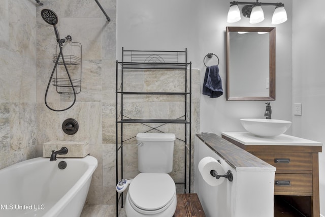 bathroom featuring vanity, toilet, and wood finished floors