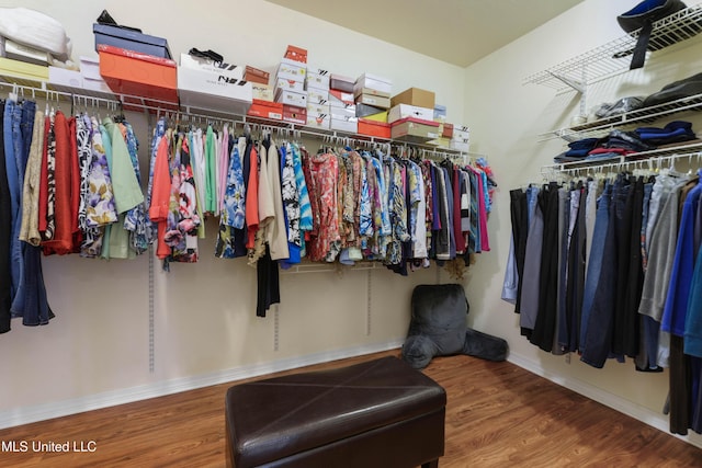 spacious closet featuring hardwood / wood-style floors